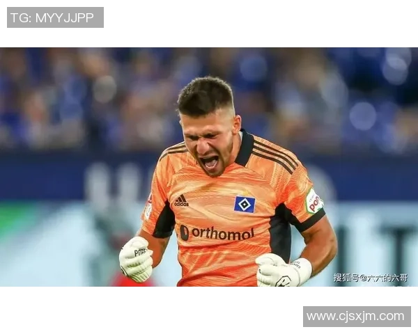 汉堡与卡尔斯鲁厄对决结果揭晓精彩瞬间回顾与分析