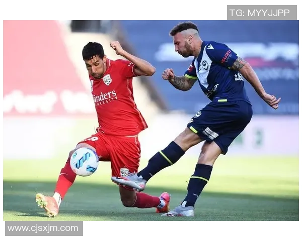 阿德莱德与纽喷气机精彩对决视频直播全程回顾与分析